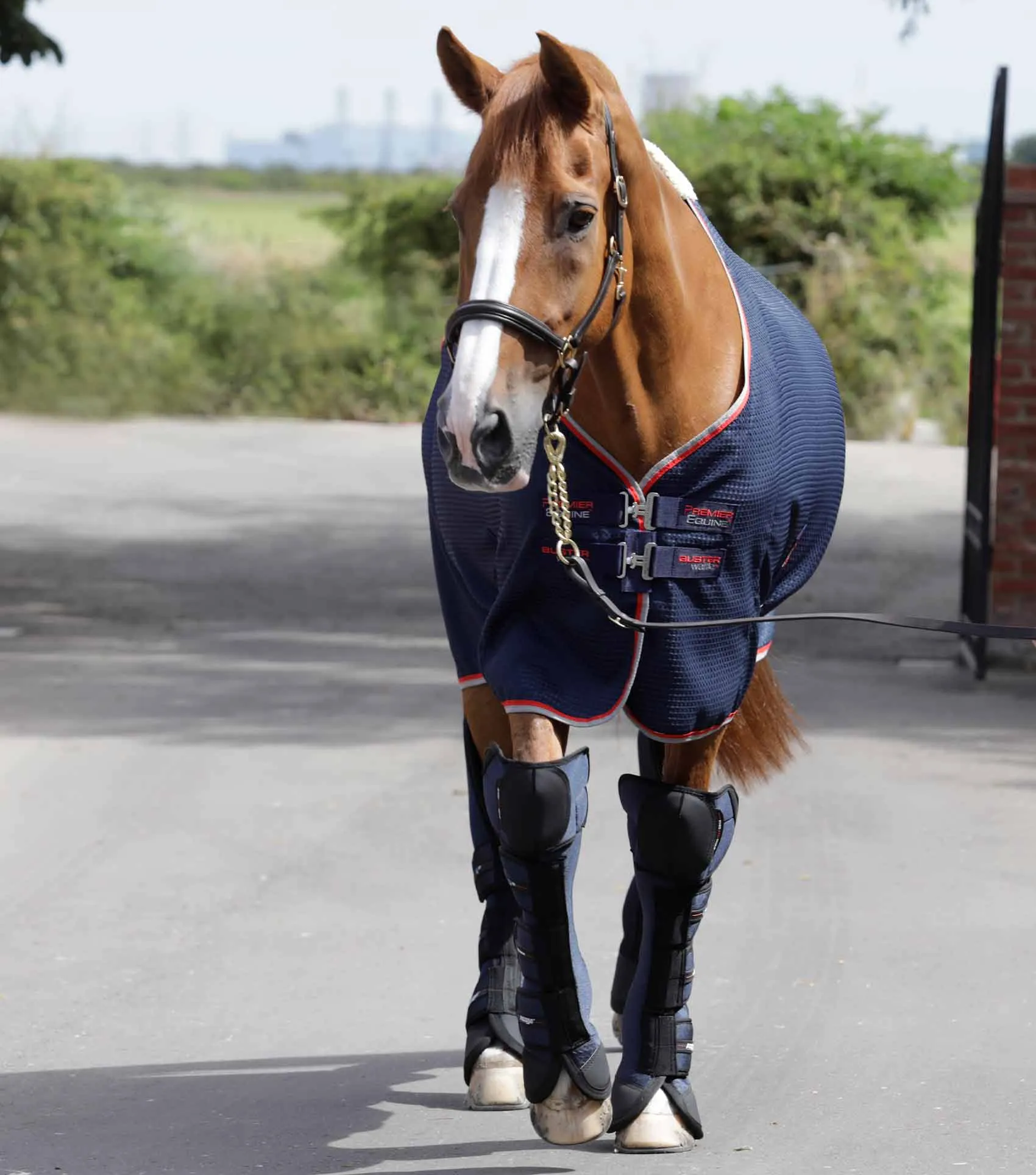 Airtechnology Knee Pro-Tech Horse Travel Boots Navy