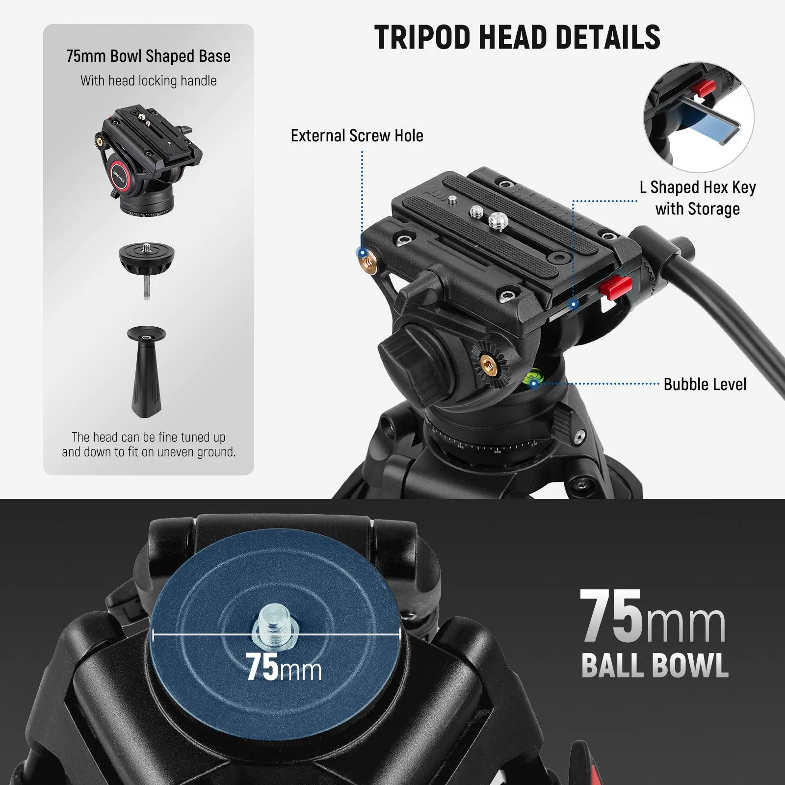 NEEWER TP74 74" Pro Video Tripod with Fluid Head & 2 QR Modes